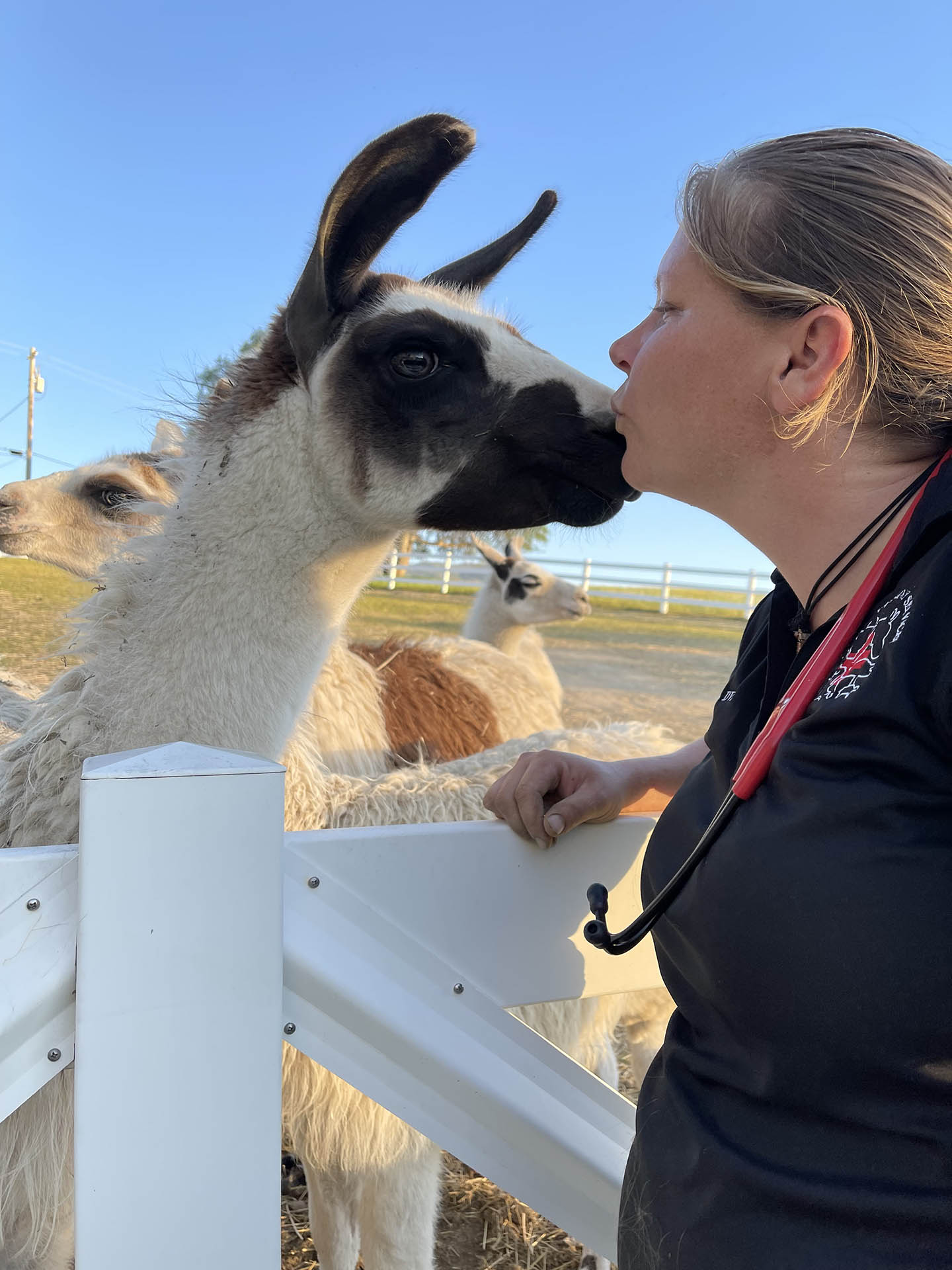 About Us Valley Veterinary Services Inc.